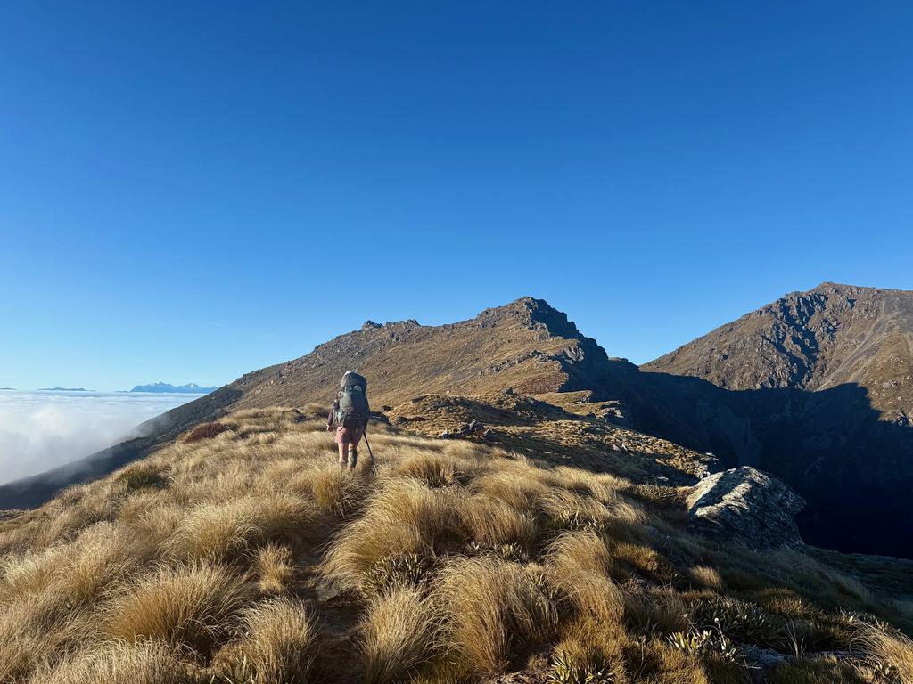 Mt Richmond on the far right, Johnston Peak in the middle and some wreckage of the Kereru somewhere on the face below.