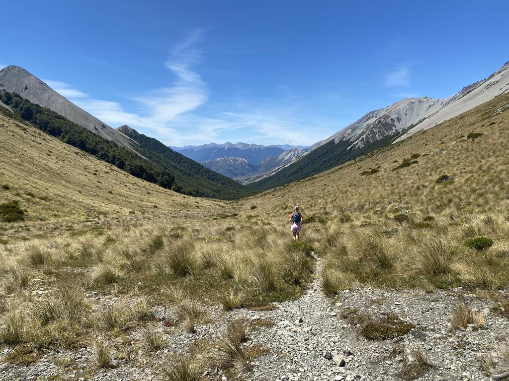 Descending from Cass Saddle towards Cass Saddle Hut in the trees.