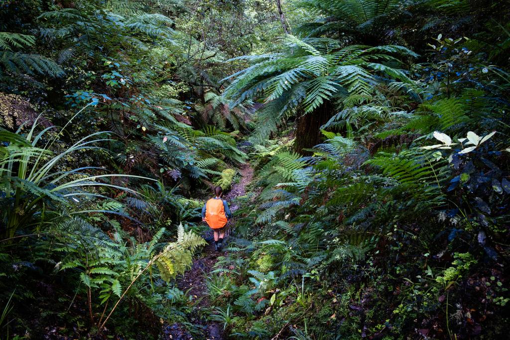 Heading down a little gully!