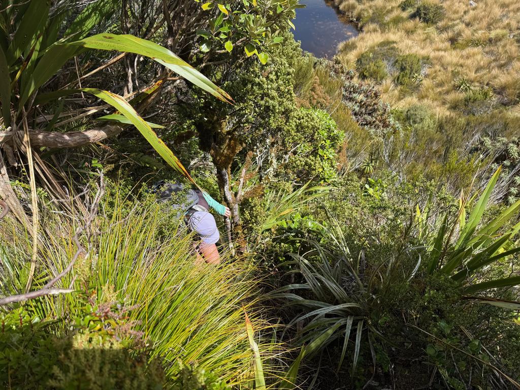 Definitely wondered whether the bush bashing was worth going down to see the tarn..