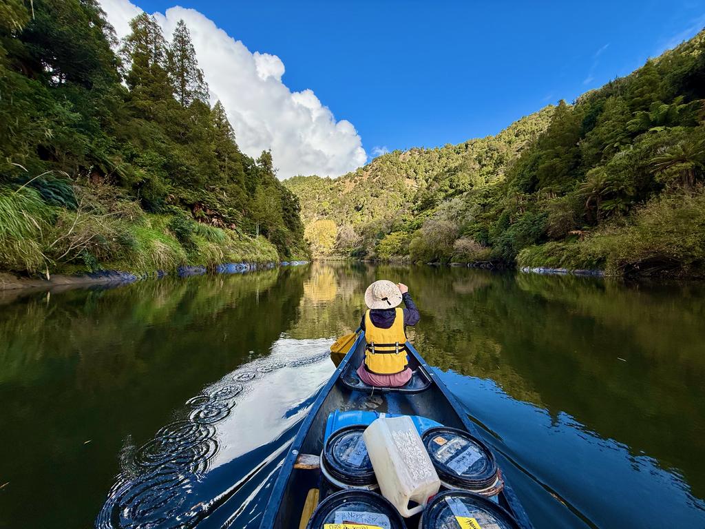 Glassy flat water and some dense bush on the banks.