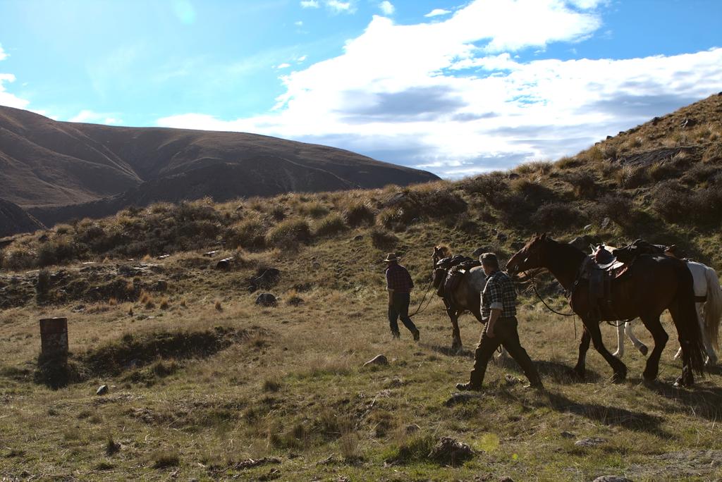 The horses at the hut!