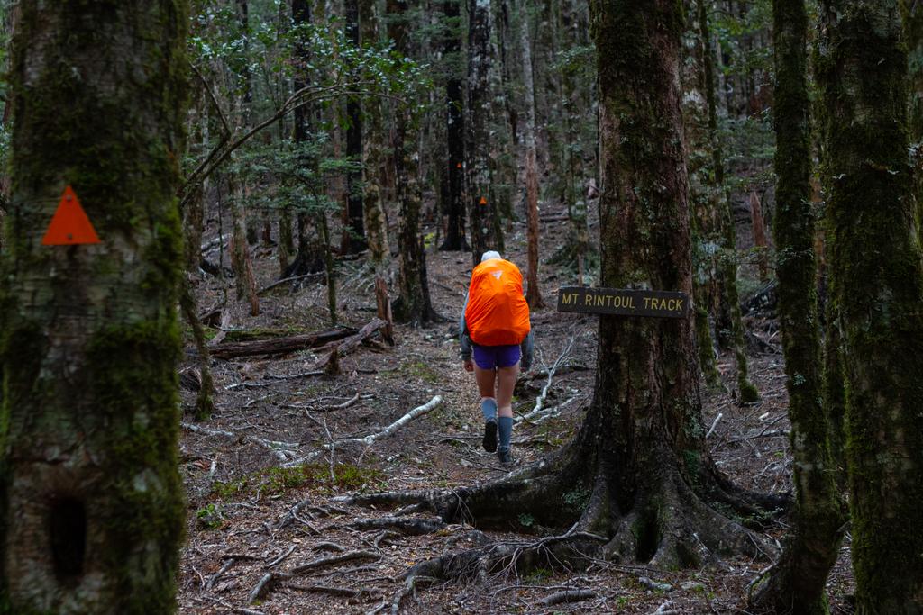 It's a long way up, don't be deceived!