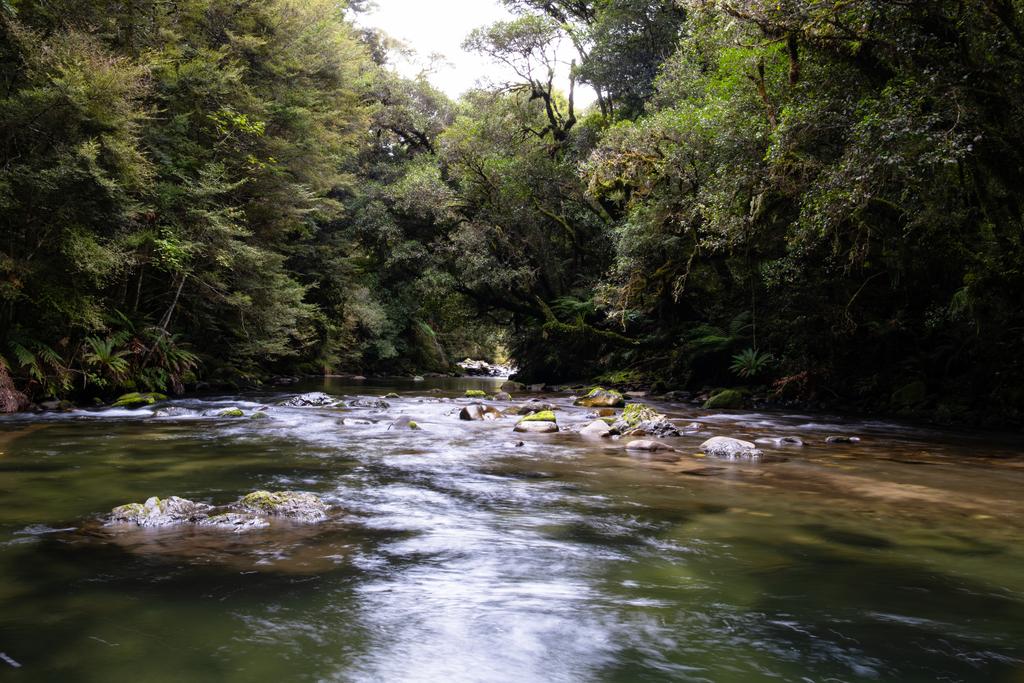 Looking up a nice section of rivew while Jen watches Blue Ducks downstream.