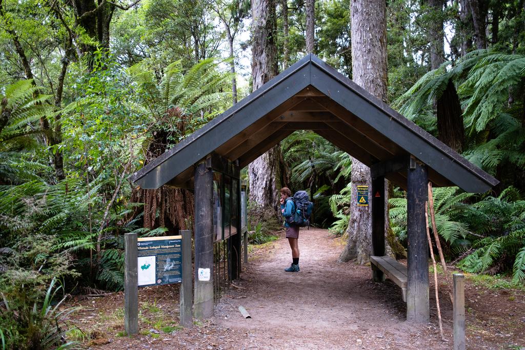 Jen reading the sign at River Rd carpark.