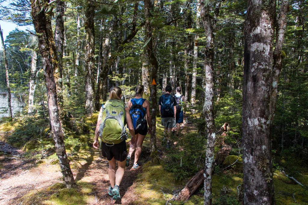 The lovely flat forest by Lewis River.