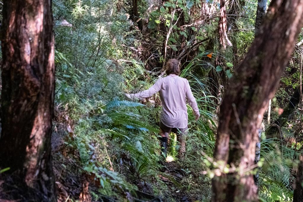 7 July, 2026 at 3:13pm

Medium Gorge becomes more and more overgrown as we preceeded..
📷 Finn Le Sueur

FUJIFILM X-S20
18-300mm F/3.5-6.3 DiIII-A VC VXD B061X
6400
<span>%!s(float64=7.1) ISO<s/span> <span>f/59</span> <span>%!d(string=1/100)mm</span> <span>%!s(MISSING)s</span>