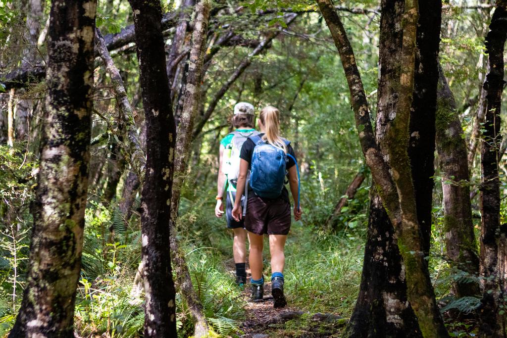 Seonaid and Phoeve in the beech forest.