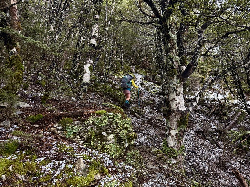 Glad to be on the main track to Old Man, now, but it was colder than expected!