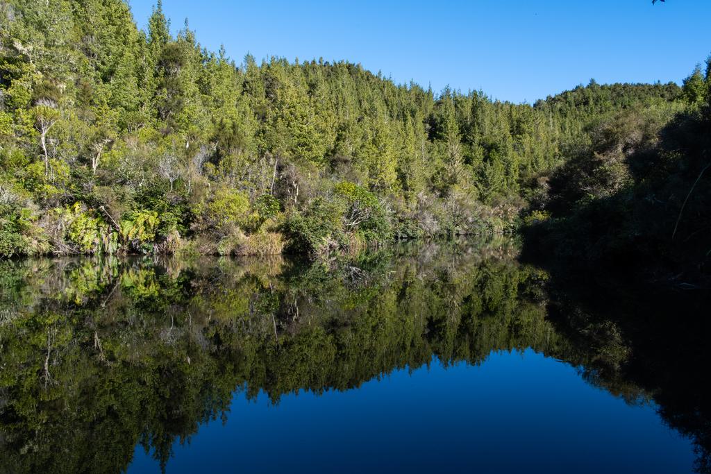 5 May, 2026 at 2:10pm
One of the many nice views of the Waihāhā River.
📷 Finn Le Sueur
FUJIFILM X-S20
18-300mm F/3.5-6.3 DiIII-A VC VXD B061X
640
<span>%!s(float64=11) ISO<s/span> <span>f/18</span> <span>%!d(string=1/250)mm</span> <span>%!s(MISSING)s</span>