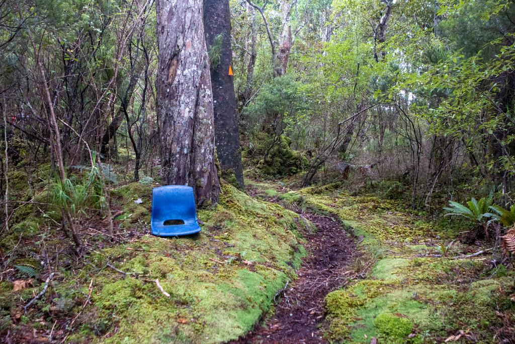Washed up rubbish used as decoration along the track.