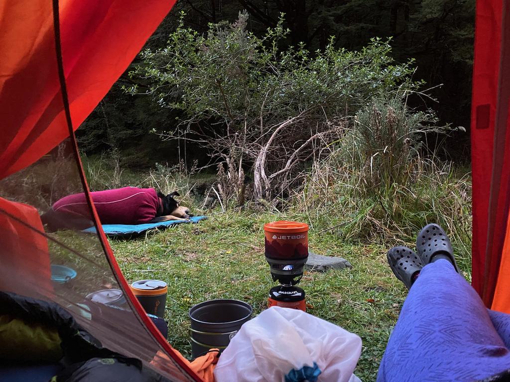 Korra enjoying a bone and looking adorable in her jumper.