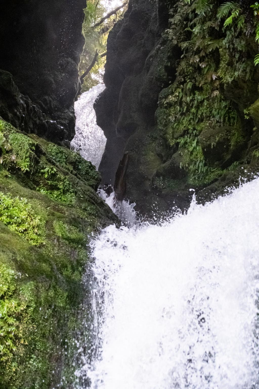 7 July, 2026 at 2:10pm

Tawarau Falls looking majestic.
📷 Finn Le Sueur

FUJIFILM X-S20
18-300mm F/3.5-6.3 DiIII-A VC VXD B061X
6400
<span>%!s(float64=4.5) ISO<s/span> <span>f/48</span> <span>%!d(string=1/400)mm</span> <span>%!s(MISSING)s</span>