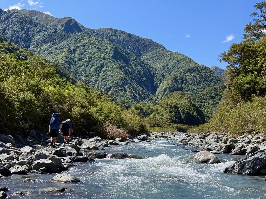 The Kōwhai above Orange Grove.