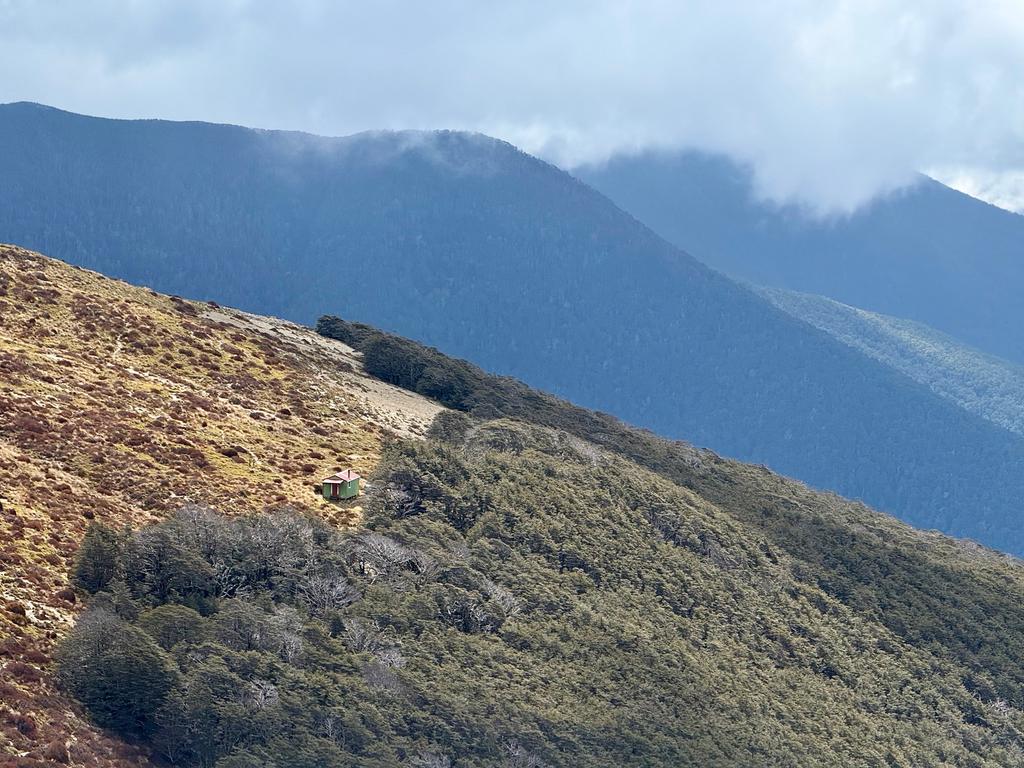 Slaty Hut nestled on the bushline.