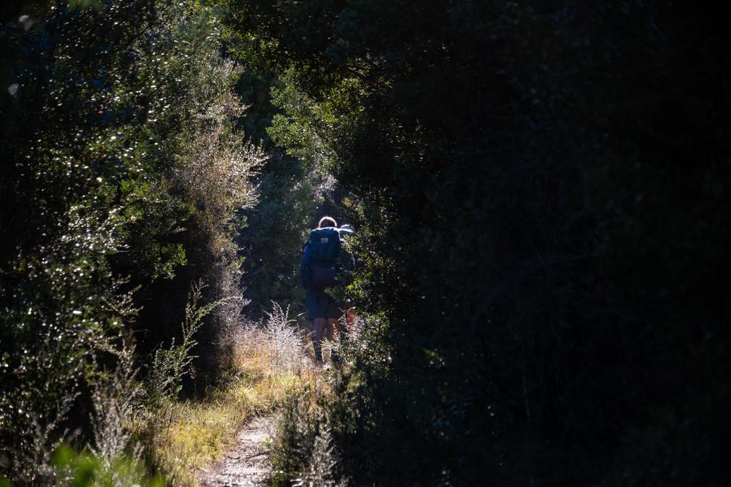 5 May, 2026 at 3:22pm
I was almost too slow to get this photo!
📷 Finn Le Sueur
FUJIFILM X-S20
18-300mm F/3.5-6.3 DiIII-A VC VXD B061X
640
<span>%!s(float64=5.6) ISO<s/span> <span>f/100</span> <span>%!d(string=1/450)mm</span> <span>%!s(MISSING)s</span>
