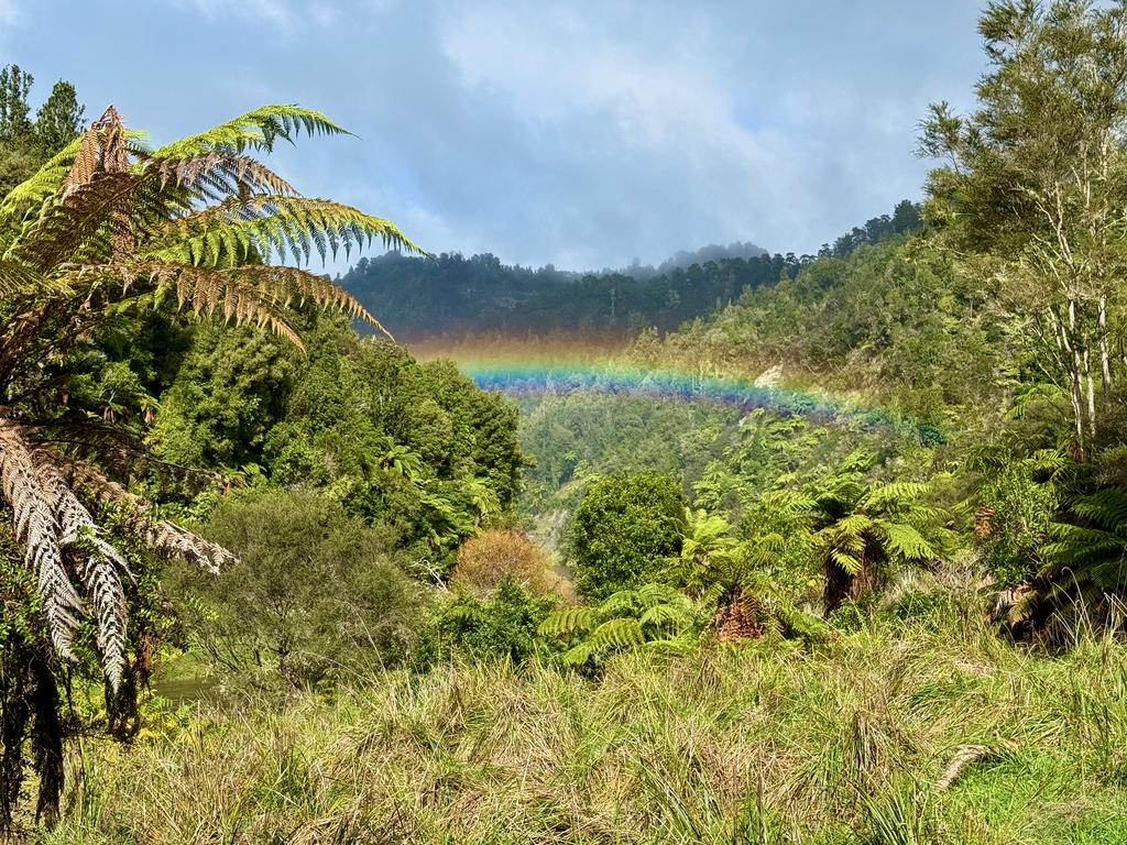 A beautiful rainbow above beautiful bush at lunch.