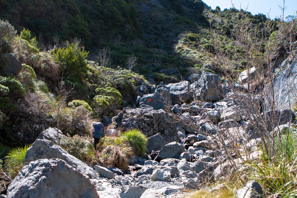 Jen climbing up to Kowhai Saddle - plodding.