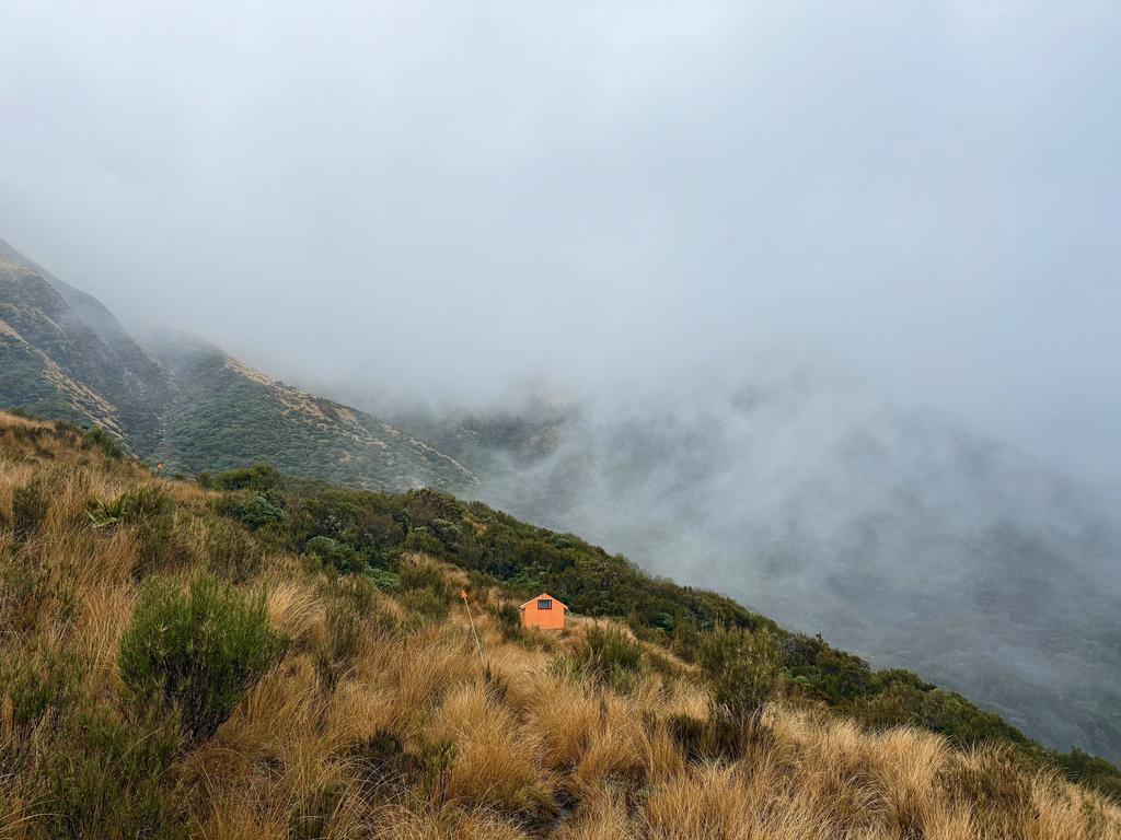 Adventure Biv nestled on a small terrace just above the bush.