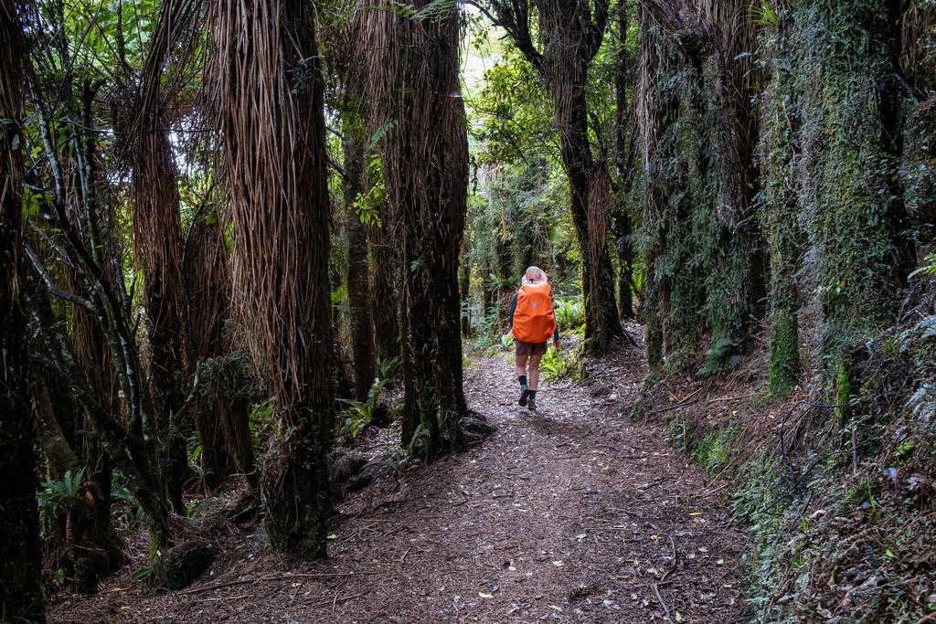 Finally heading down toward River Rd Carpark.