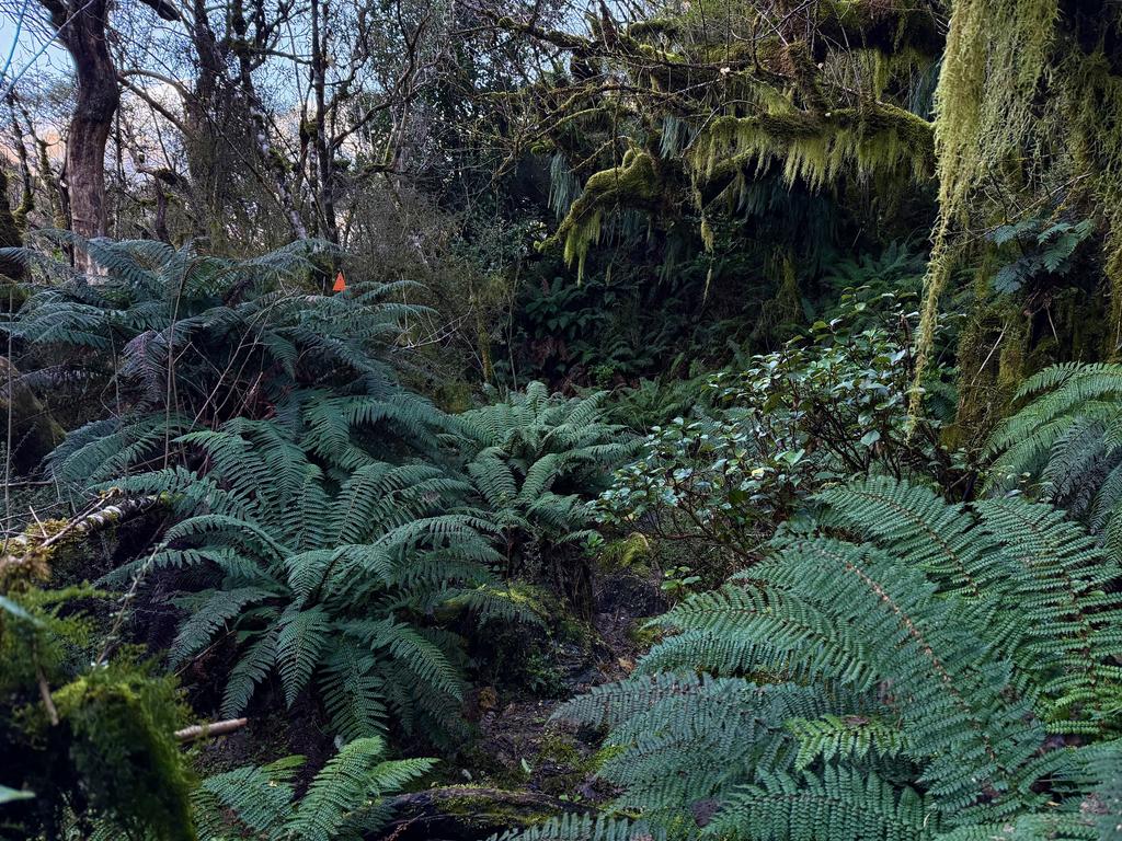 Dense bush was always available when not on the riverbed.