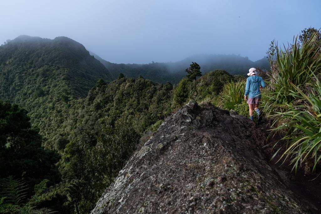 7 July, 2026 at 10:31am

The track pops briefly out of the bush here and there. The peak is somewhere out there in the cloud..
📷 Finn Le Sueur

FUJIFILM X-S20
18-300mm F/3.5-6.3 DiIII-A VC VXD B061X
640
<span>%!s(float64=5.6) ISO<s/span> <span>f/18</span> <span>%!d(string=1/1400)mm</span> <span>%!s(MISSING)s</span>