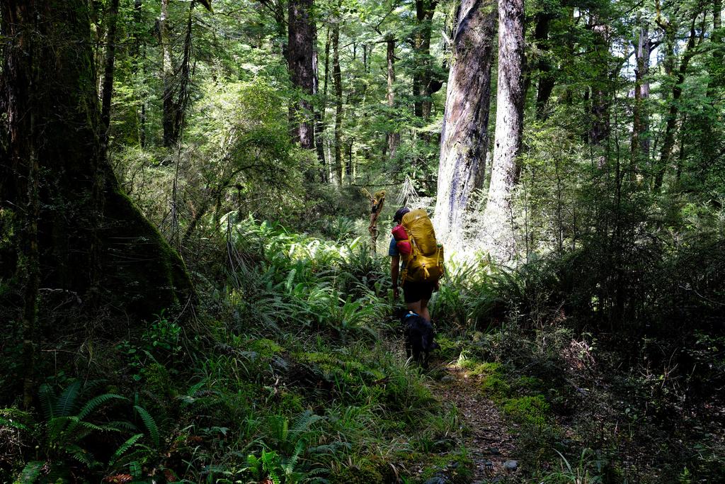 Tim and some beautiful ferns.