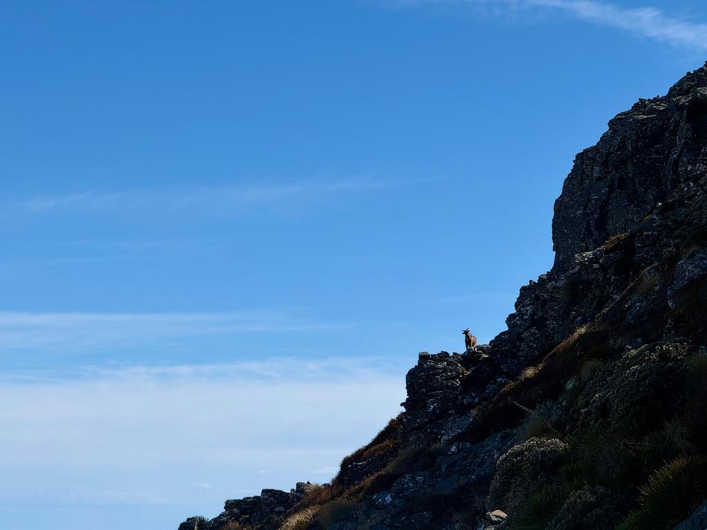 We were being watched.