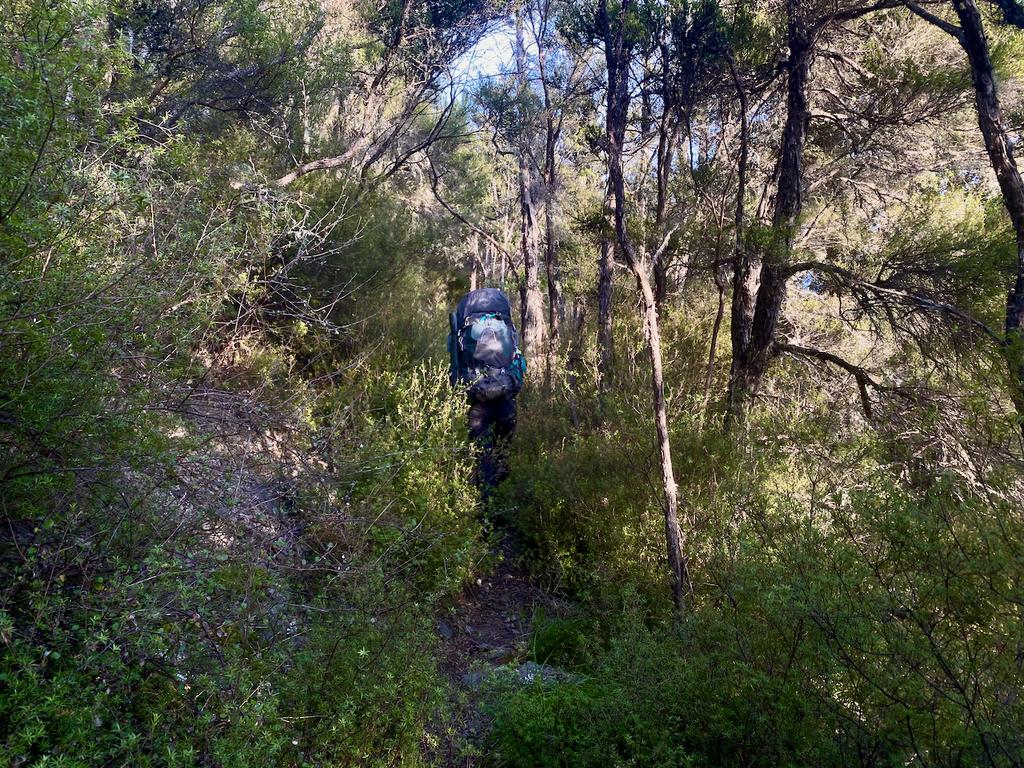 Jen working through some bush on the way up Cattle Peak Route.