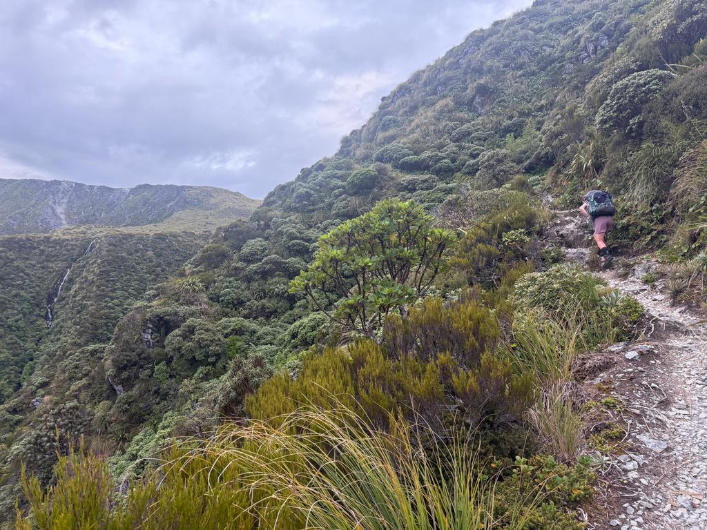 The track is definitely not as steep out of the bush, but still a good effort.
