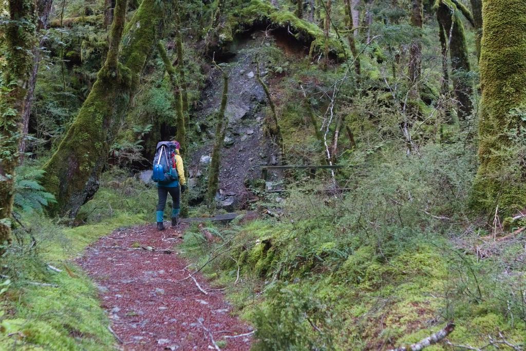 The lush green of the valley floor