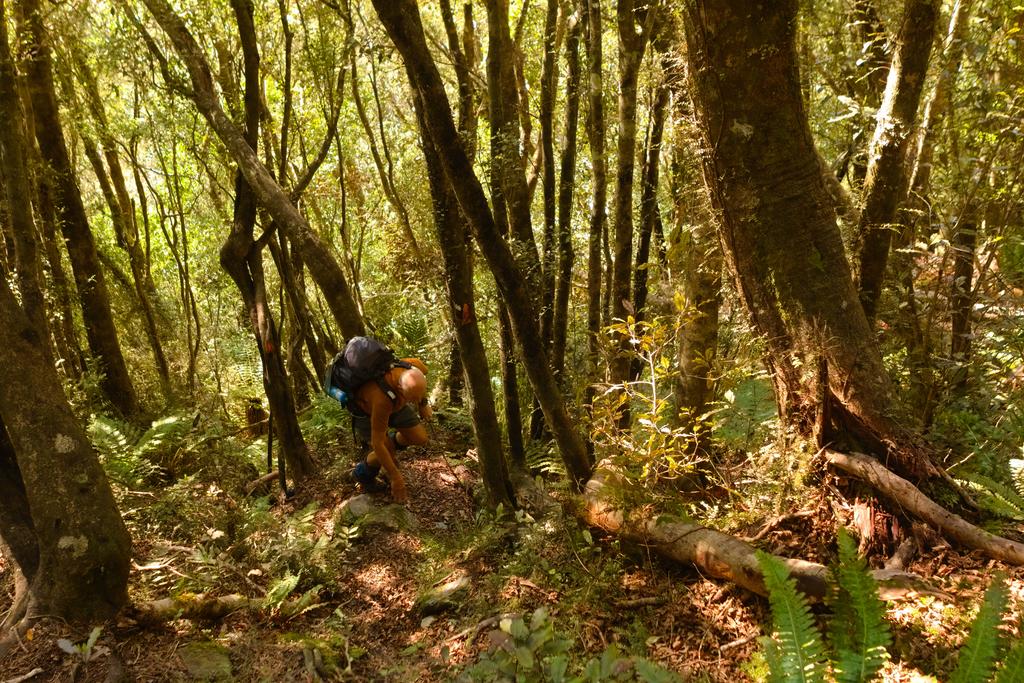 Dad climbing the Brian O'Lynne Track.
