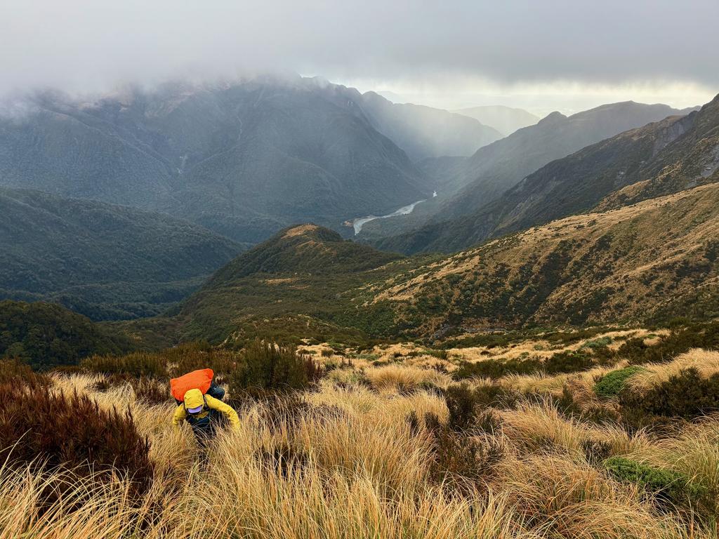 Jen climbing through the low scrub and tussock with the Toaroha river in the distance.