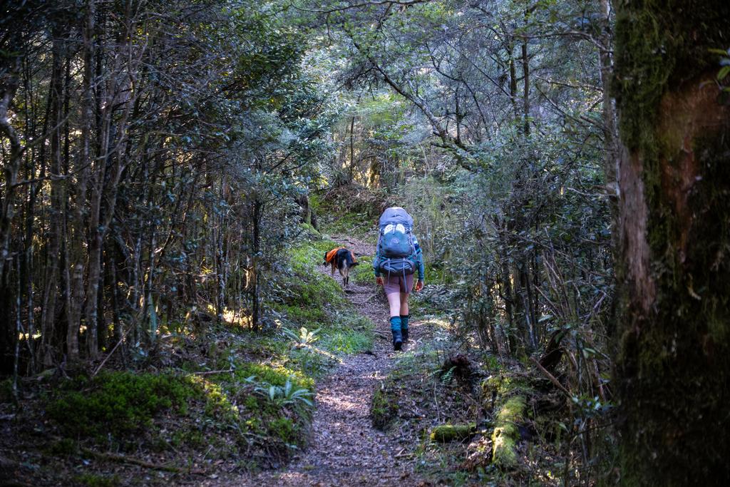 4 April, 2026 at 10:11am

A stunning little corridor of trees.
📷 Finn Le Sueur

FUJIFILM X-S20
18-300mm F/3.5-6.3 DiIII-A VC VXD B061X
6400
<span>%!s(float64=4.5) ISO<s/span> <span>f/48</span> <span>%!d(string=1/80)mm</span> <span>%!s(MISSING)s</span>