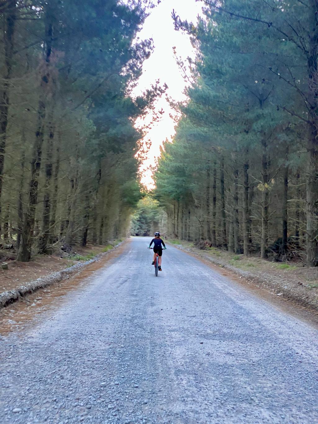 Jen cycling through a small forestry area.
