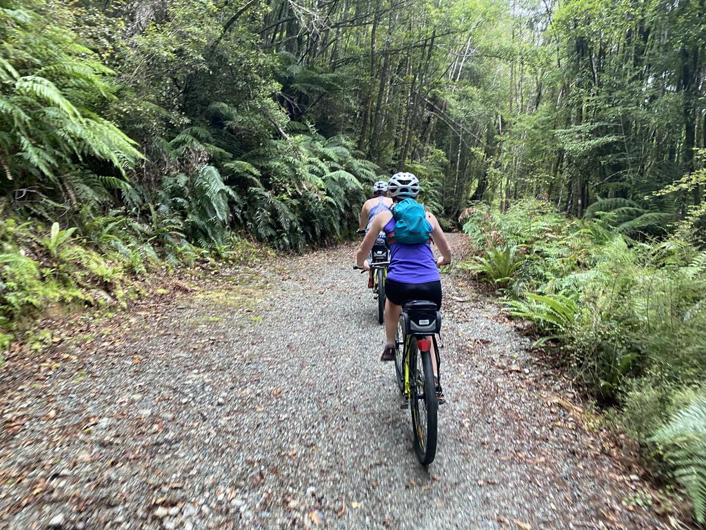 Some of the early trail in the forest - simply beautiful.