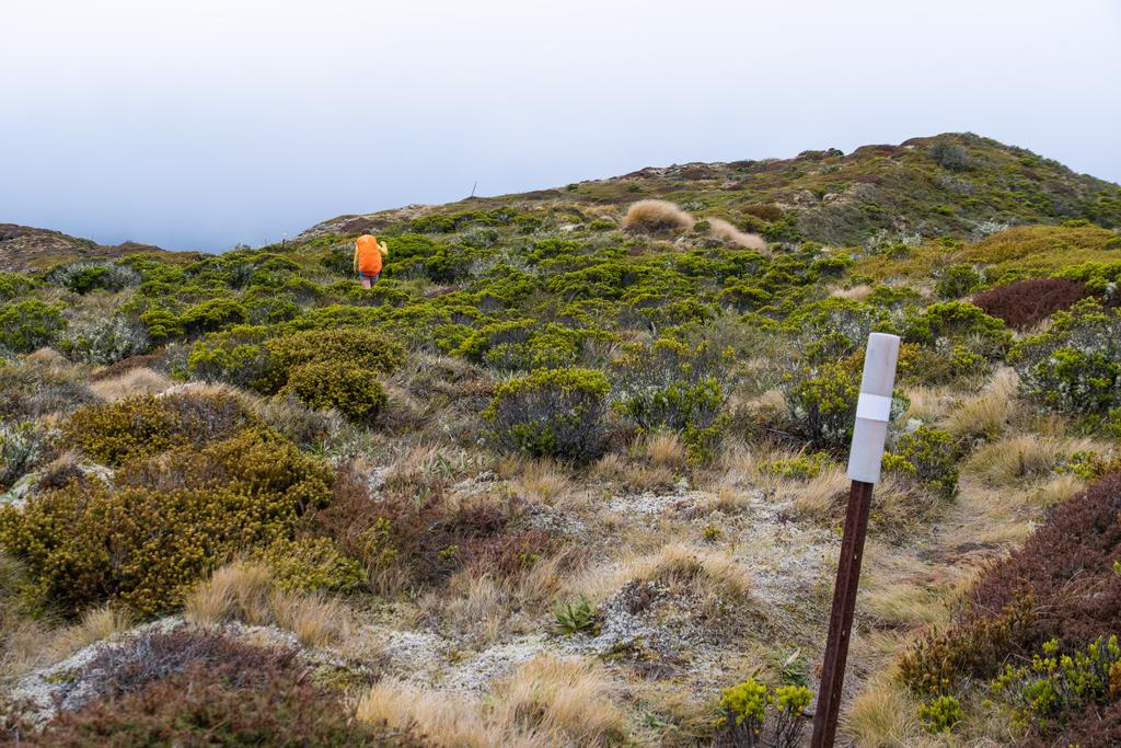 5 May, 2026 at 1:31pm

More low scrub and gusty wind.
📷 Finn Le Sueur

FUJIFILM X-S20
18-300mm F/3.5-6.3 DiIII-A VC VXD B061X
640
<span>%!s(float64=8) ISO<s/span> <span>f/34</span> <span>%!d(string=1/220)mm</span> <span>%!s(MISSING)s</span>