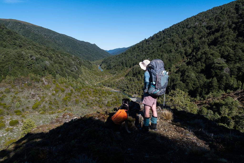 4 April, 2026 at 10:55am

Looking down the Waipakihi River. A trip for another (warmer) day.
📷 Finn Le Sueur

FUJIFILM X-S20
18-300mm F/3.5-6.3 DiIII-A VC VXD B061X
640
<span>%!s(float64=11) ISO<s/span> <span>f/18</span> <span>%!d(string=1/550)mm</span> <span>%!s(MISSING)s</span>