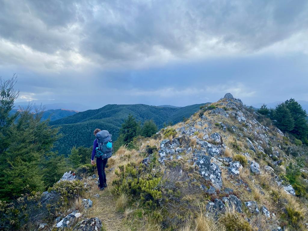 On the way to Whare Route junction – sick views.