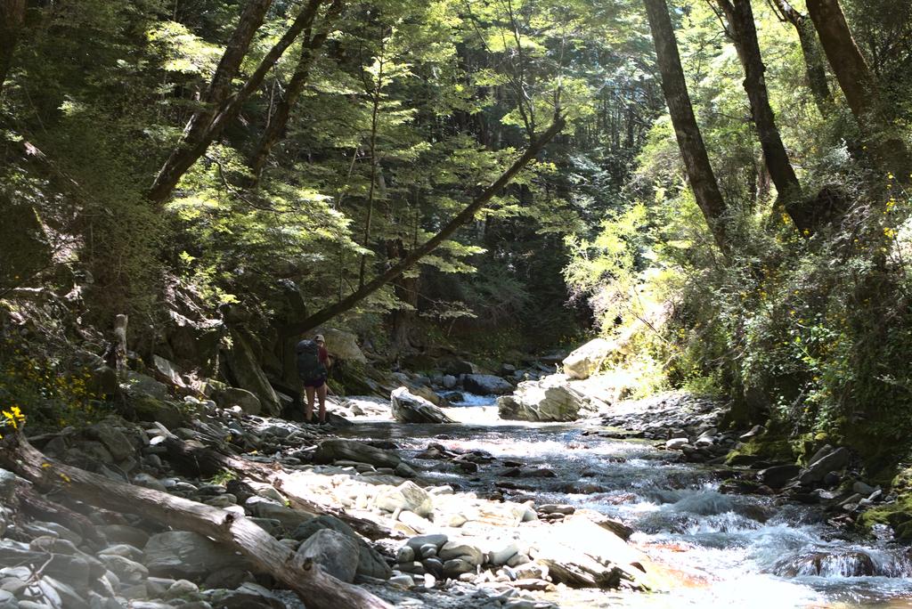 Heading up the unnamed creek towards Moonlight and Roses Hut.