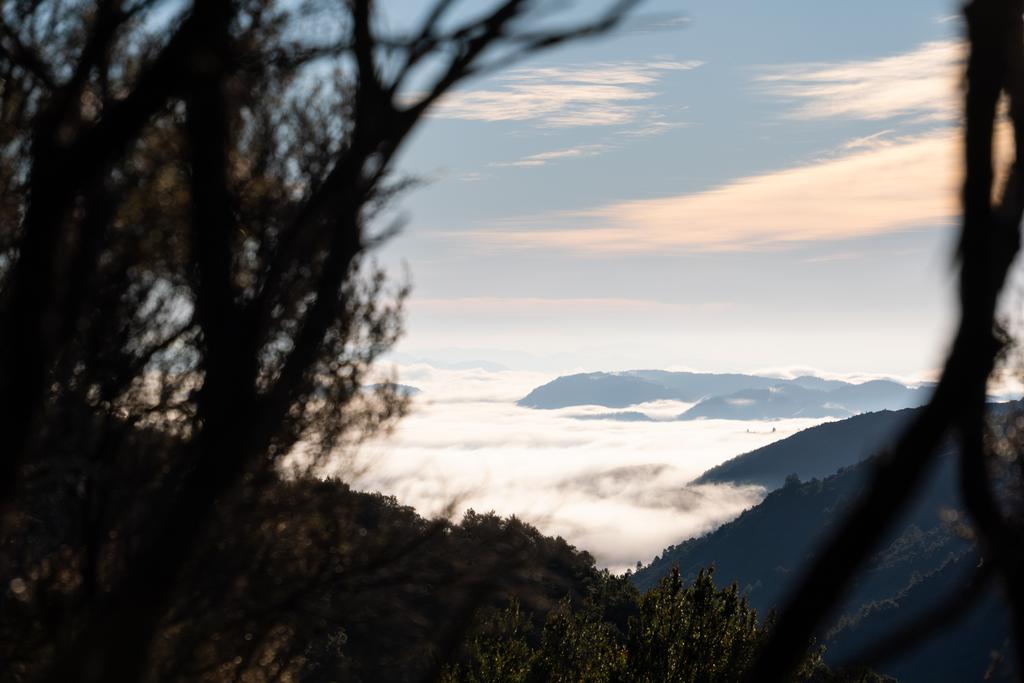 5 May, 2026 at 8:27am

Admiring the morning sun and low-lying cloud in the early morning.
📷 Finn Le Sueur

FUJIFILM X-S20
18-300mm F/3.5-6.3 DiIII-A VC VXD B061X
640
<span>%!s(float64=8) ISO<s/span> <span>f/100</span> <span>%!d(string=1/3200)mm</span> <span>%!s(MISSING)s</span>