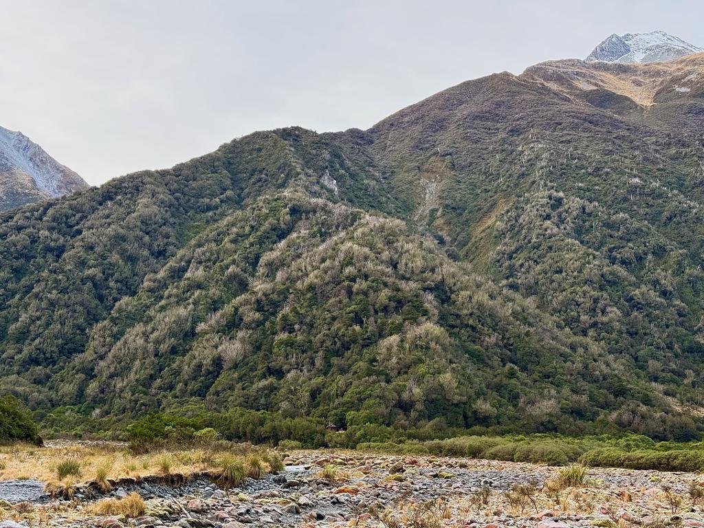 Looking back up to Crawford Junction Hut nestled at the bottom of the bush.