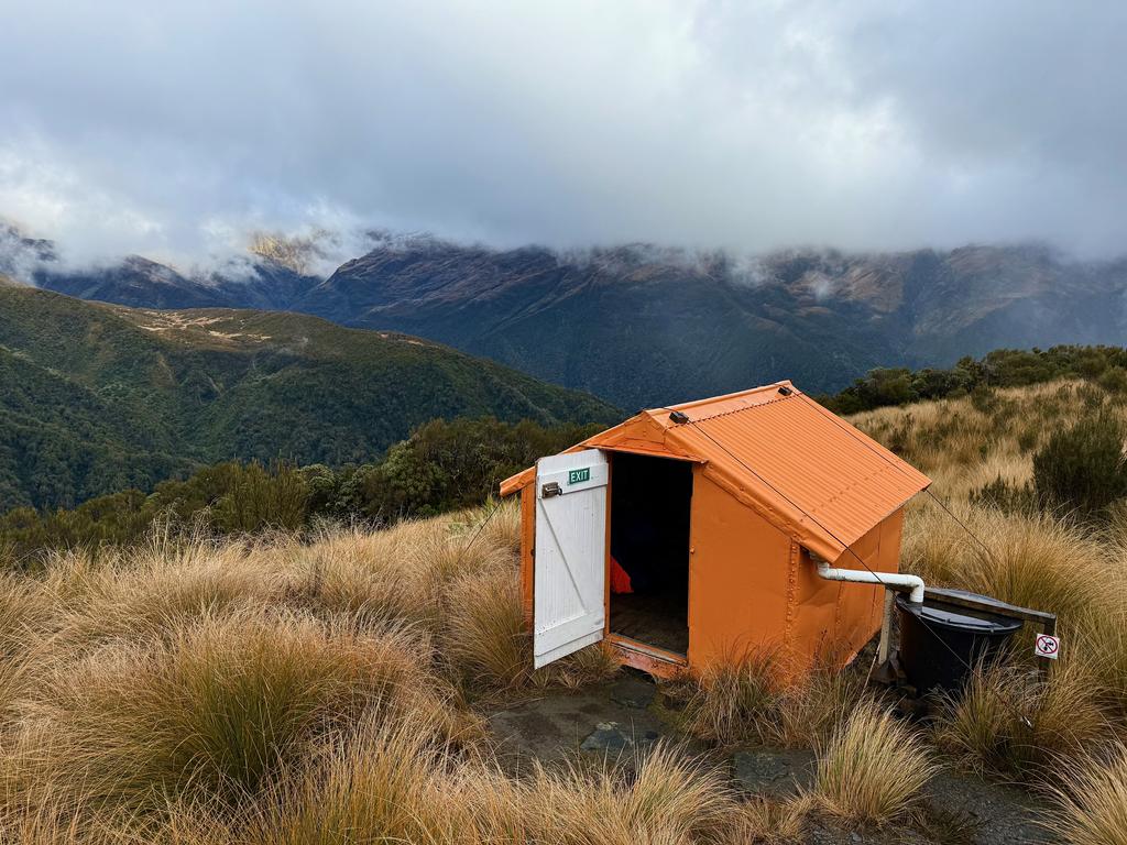 Adventure Biv looking absolutely adorable.