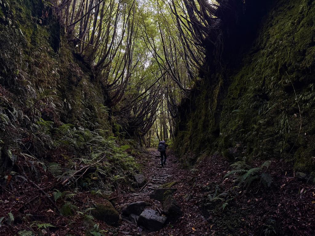 Jen in the old tramway track.