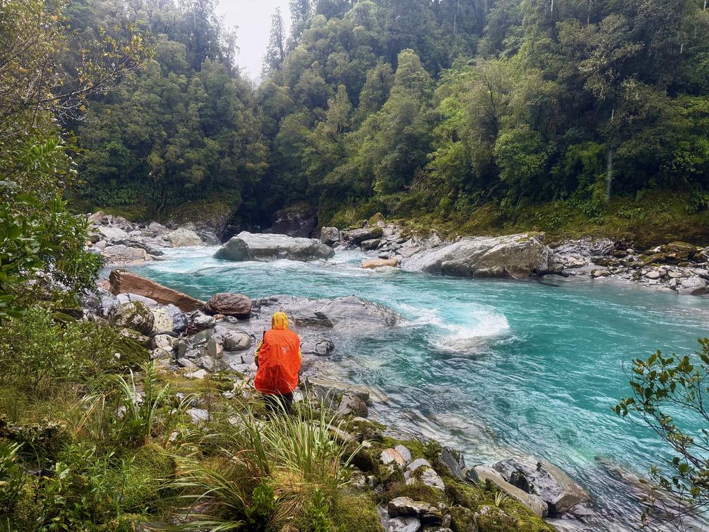 Looking at the top of the Whakarira Gorge.