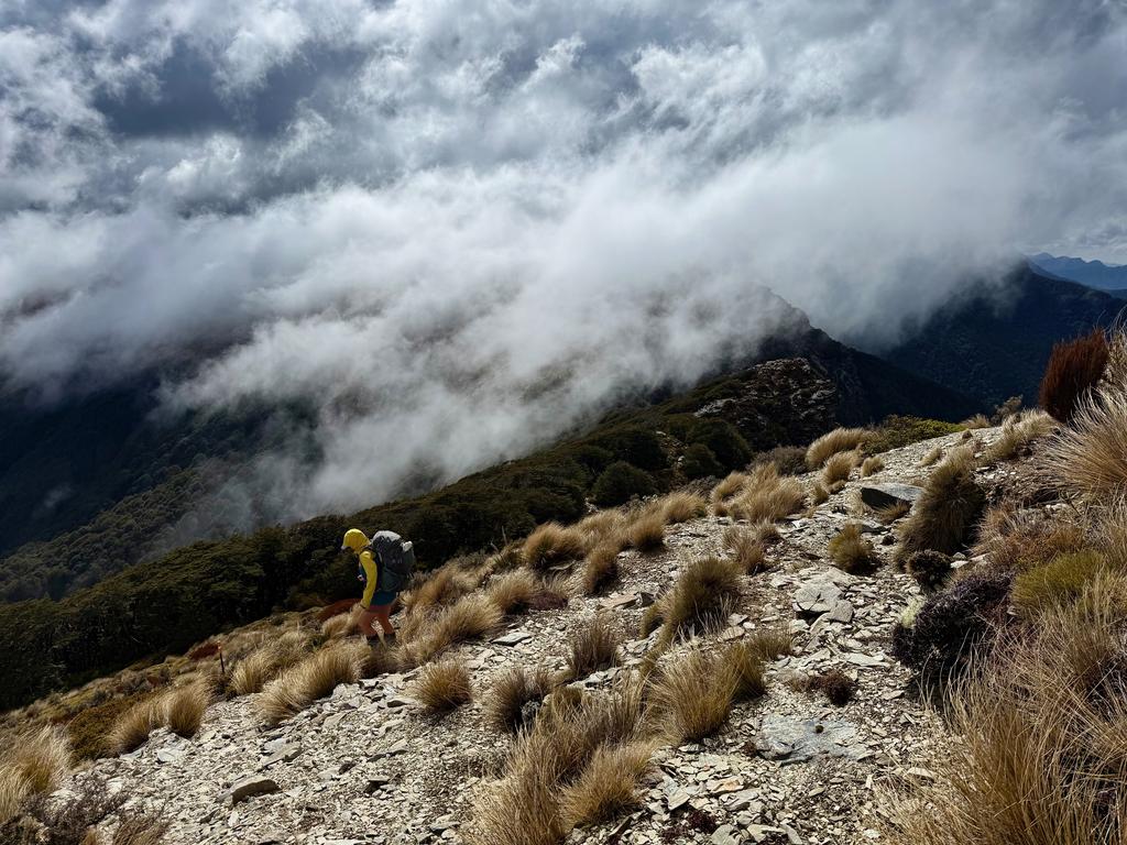 Hood up, head down, charging on.