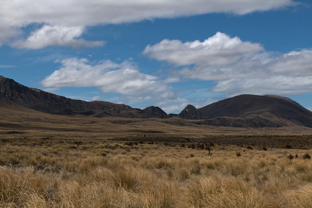 Looking up at The Dogs Range and Mt Guy (right) from Mystery Lake Track next to Potts River.