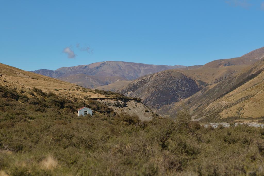 Tribulation Hut nestled amongst the matagouri on the riverside.