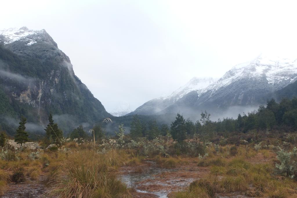 Looking back up the valley.