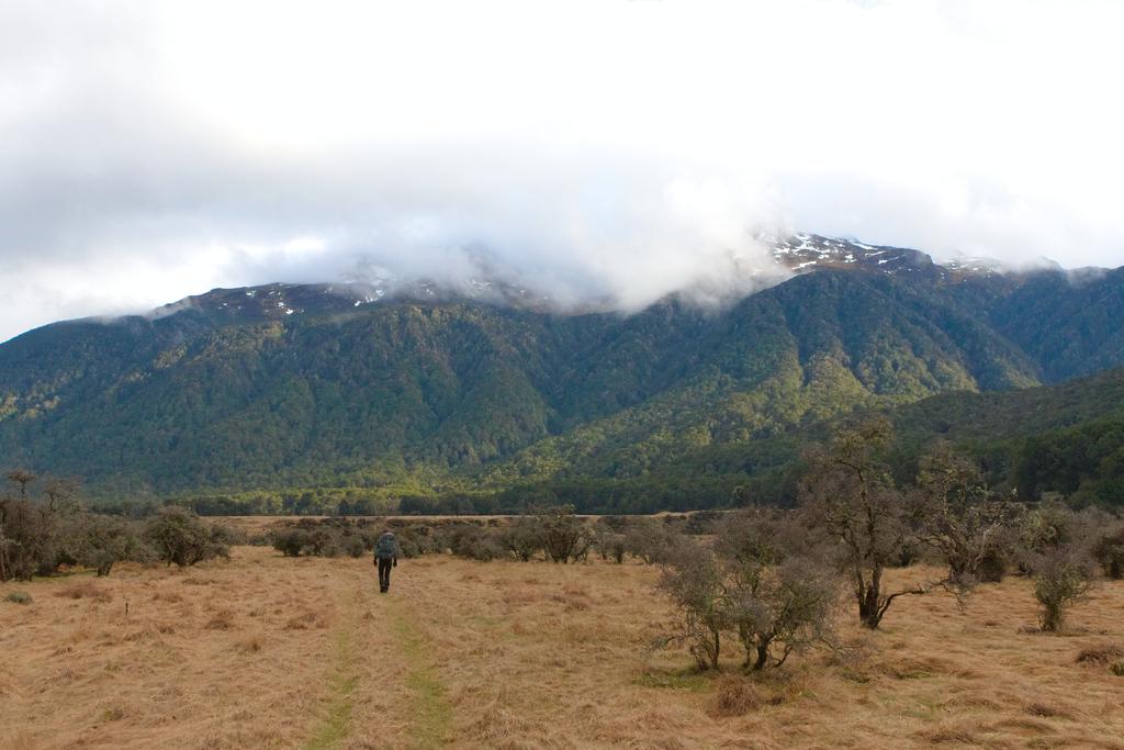 Cruising alongside Hope River, avoiding [matagouri/tūmatakuru](https://www.doc.govt.nz/nature/native-plants/matagouri-wild-irishman/), but not avoiding the rain.